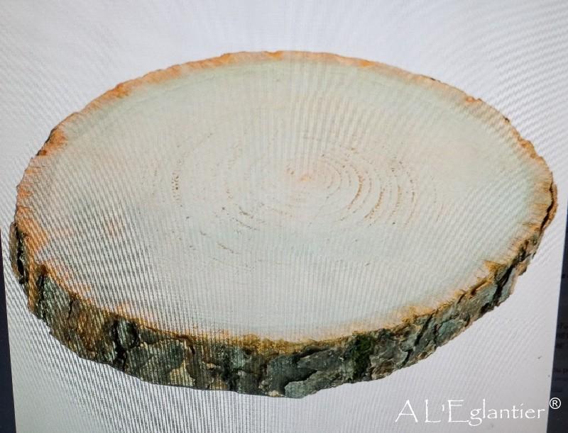 Tranche de bois en 20.5*2