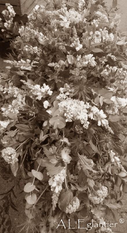 Dessus de cercueil 01