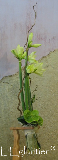 Bouquet