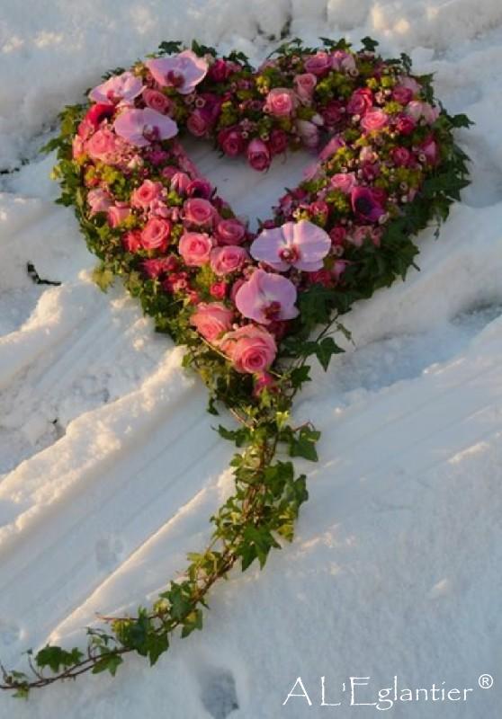 Principe coeur rose et phalaenopsis