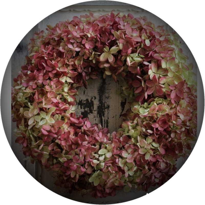 Couronne_hortensia_jardin