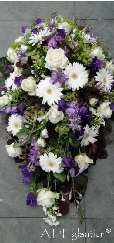 Raquette_classique_2