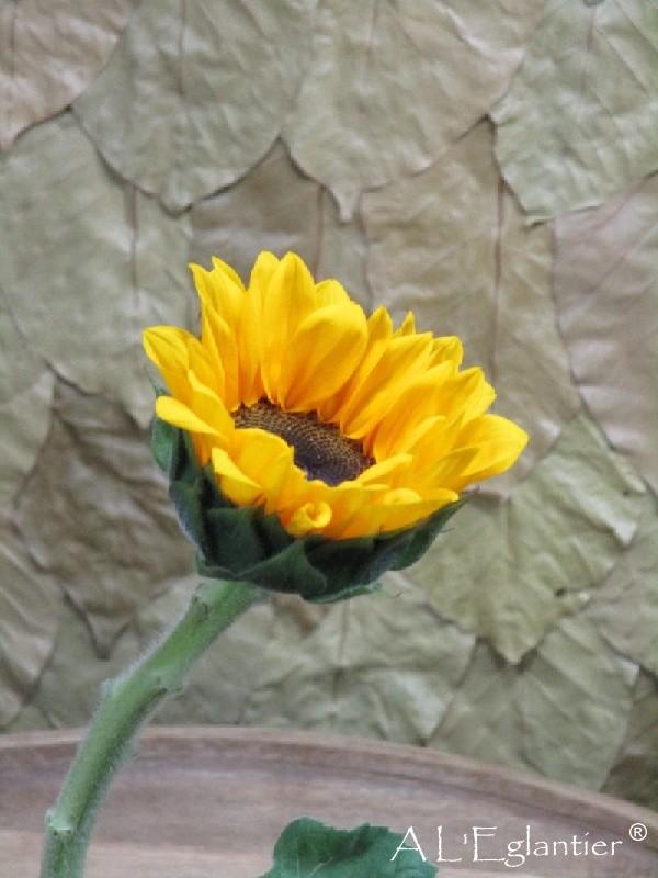 Tournesol Sunrich en 75 cn