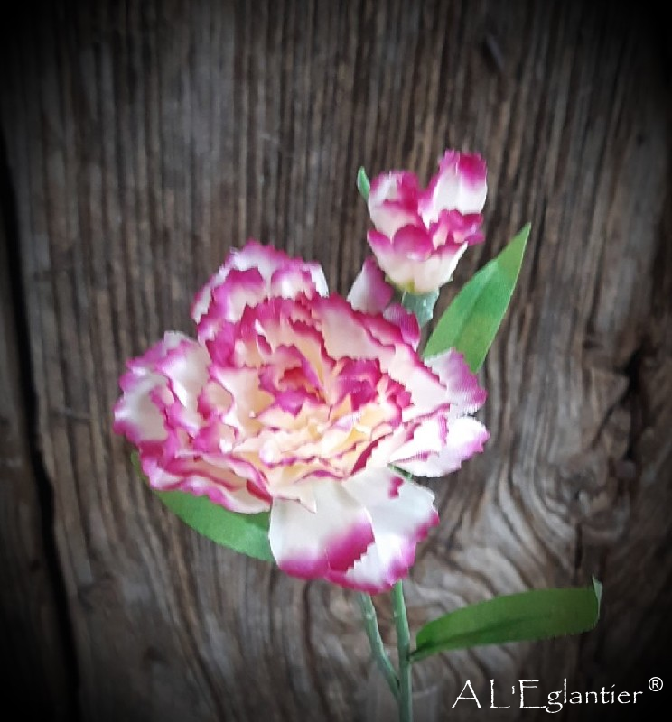 PIQUE OEILLET x 2. 36 cm. Jaspé.