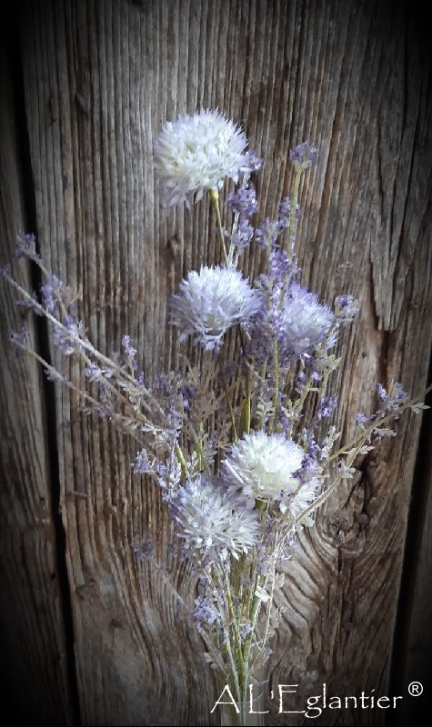 BOUQUET ALLIUM x 5. Mauve.