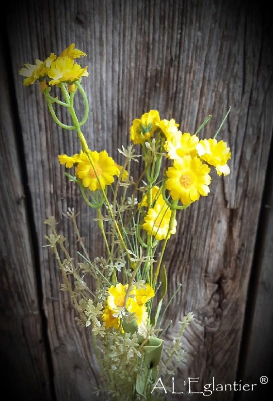 BOUQUET SAUVAGE CAMOMILLE. Jaune