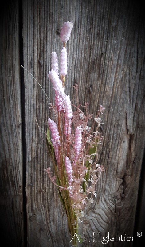 BRANCHE LAVANDE x 12. 60 cm.Mauve Cl.