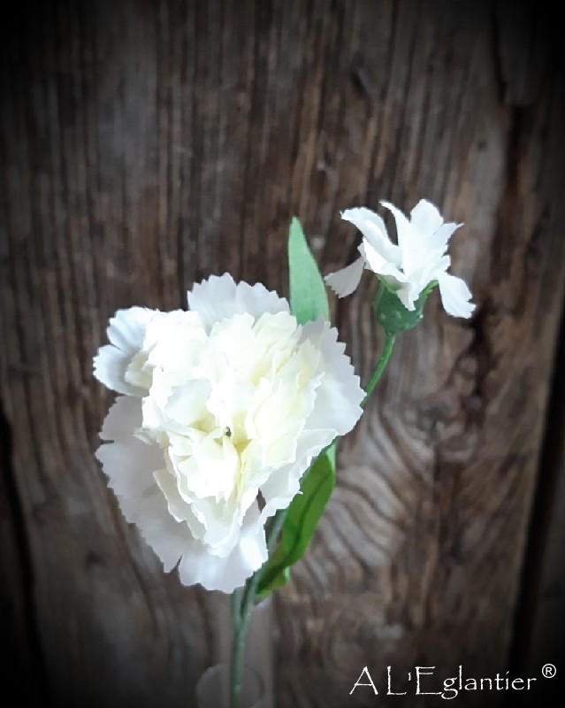 PIQUE OEILLET x 2. 36 cm. Cream.