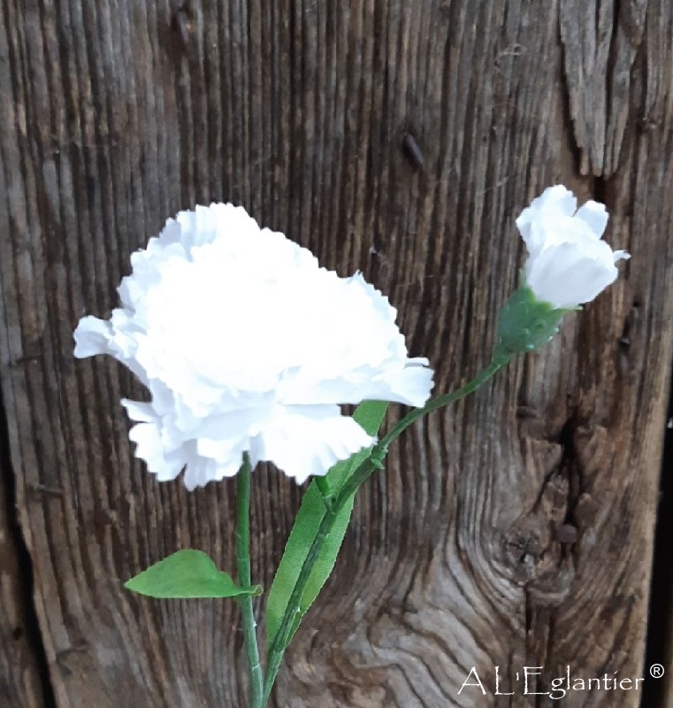 PIQUE OEILLET x 2. 36 cm. Blanche