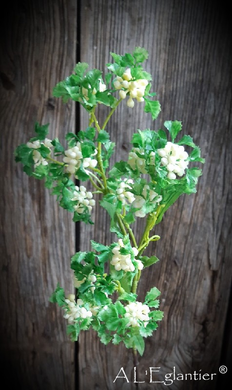 BRANCHE GRAINES. 64 cm. Crème.