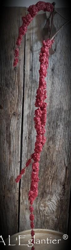 AMARANTHUS EN CHUTE. 145 cm. Cerise.