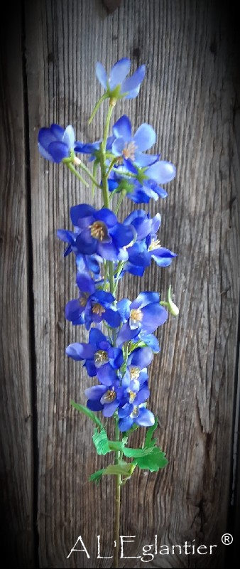 DELPHINIUM x 25. 79 cm. Bleu.