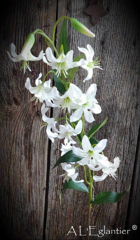 Branche mini lys blanc mini lily