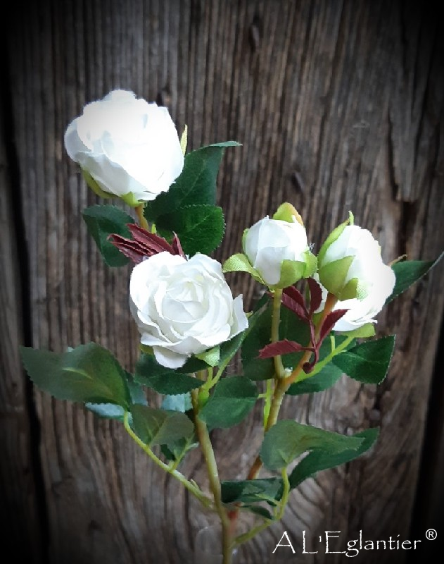 MINI ROSE 3FL-2BOU. 42 cm. Blanche.