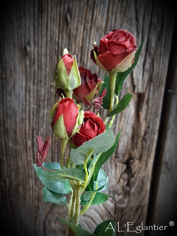 MINI ROSE 3FL-2BOU. 42 cm. Rouge.