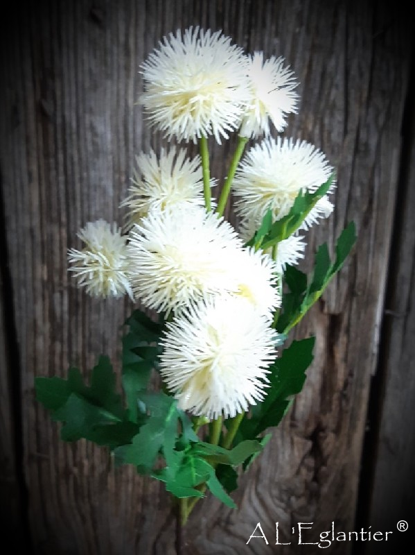 BRANCHE POMPOM x 10. 56 cm. Crème.