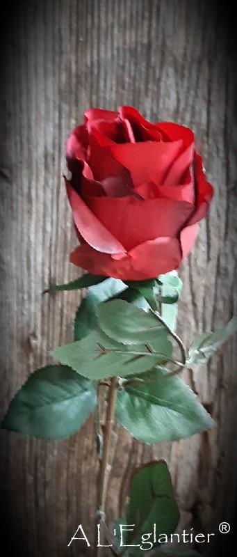 ROSE. 67 cm. Rouge.