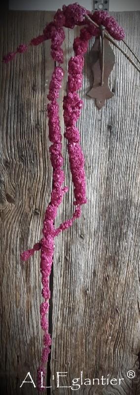 AMARANTHUS EN CHUTE. 145 cm. Bordeaux