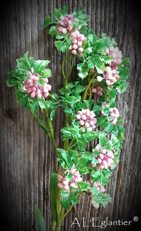 BRANCHE GRAINES. 64 cm. Rose