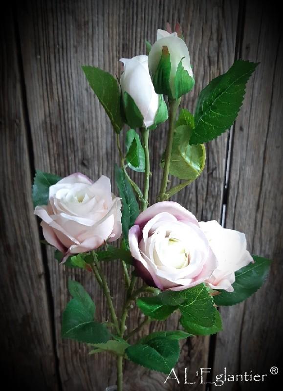 ROSE x 3 -2 Cap. 67 cm. Mauve.