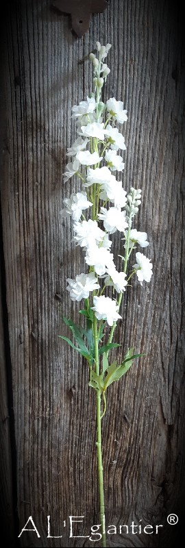 DELPHINIUM. 85 cm. Crème.