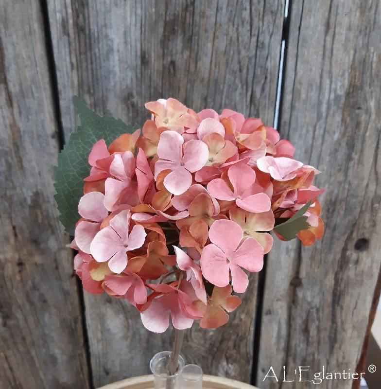 Bouquet hortensia  dry bordeaux
