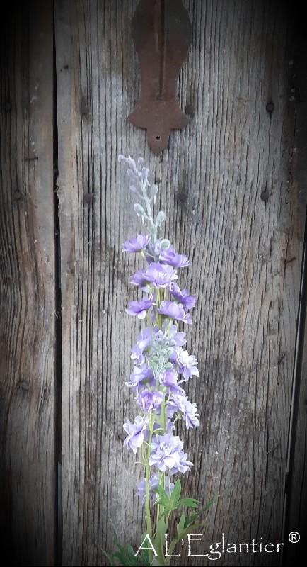 Delphinium pourpre 85 cm