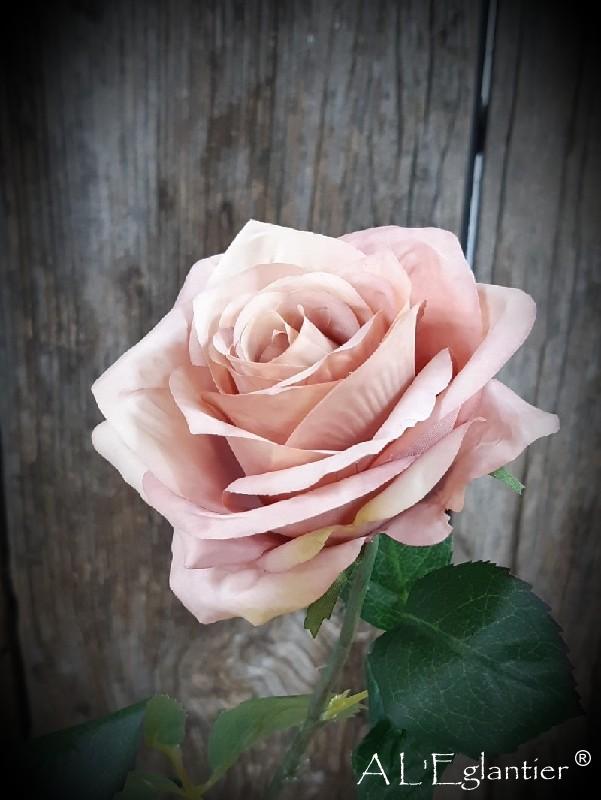 Rose 55 cm mauve