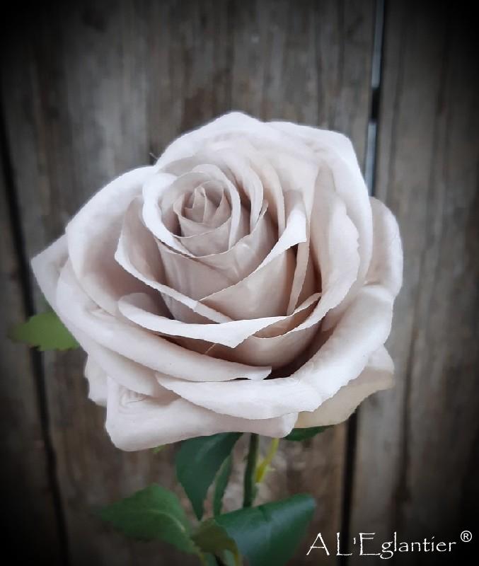 rose 55 cm beig