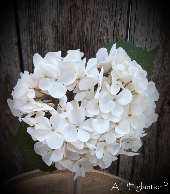 Hortensia 46 cm beig