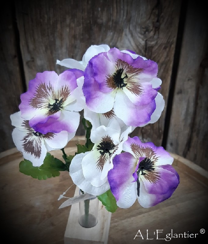 Bush pensee par 9 30 cm Lilas