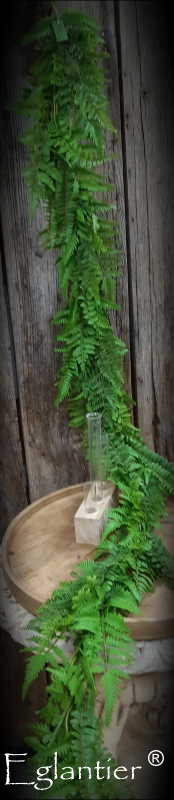 Guirlande de fougere en 180 cm