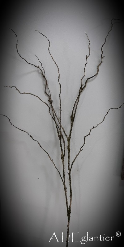 Branche licken mousse 99cm naturelle