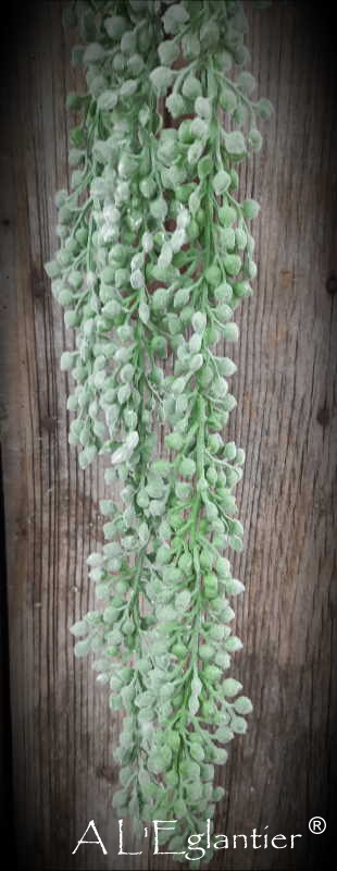 COLG. SEDUM. 53 cm. Natural.MATA RHIPSALIS. 36 cm. Verde