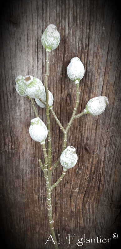 RAMA FRUTO EUCALYPTHUS. 50 cm. Verde.