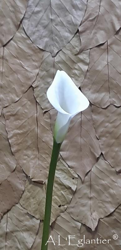 Calla Crystal Blush