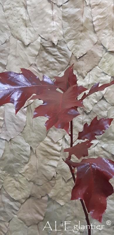 Chene feuille teintée